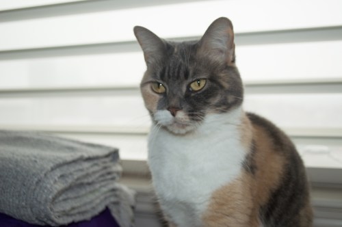 2013 01 12_0714_edited-1