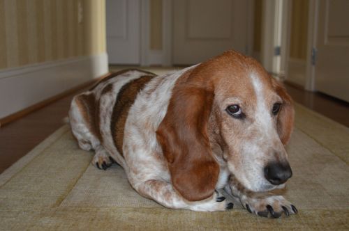 Stuart, still the greatest