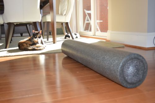 Left to right:  Phoebe, Foam Roller, Isabelle