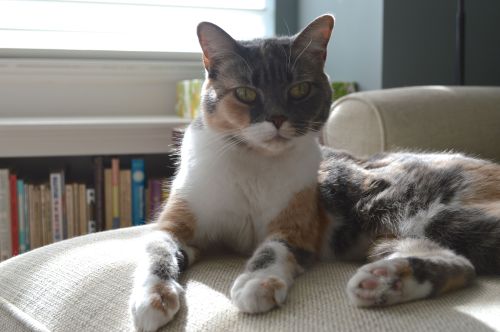 Rita, ready for her closeup