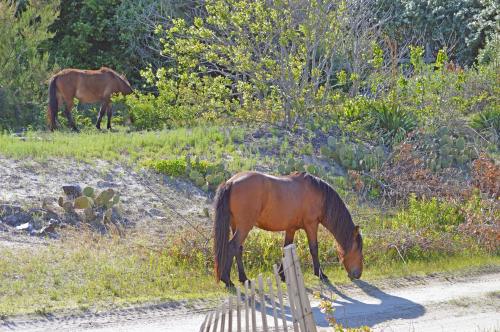 13 05 25_1608_edited-1