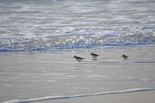 13 05 25_1640_edited-1