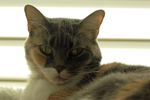 13 06 09_1924_edited-1