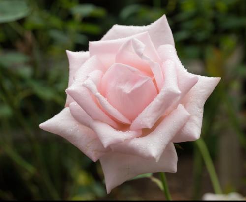 13 07 12_2633_edited-2