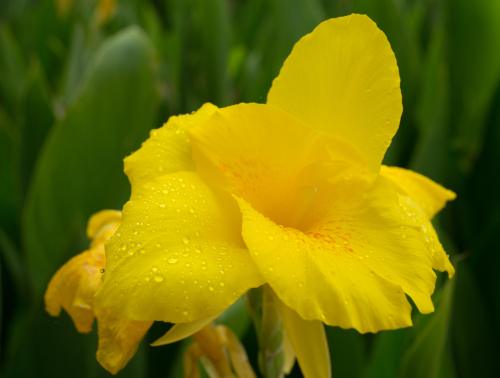 13 07 12_2639_edited-2