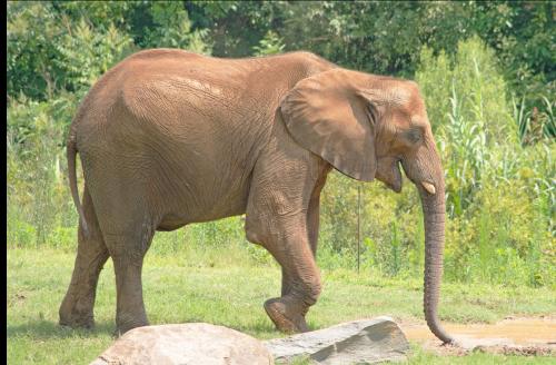 13 07 28_3013_edited-1