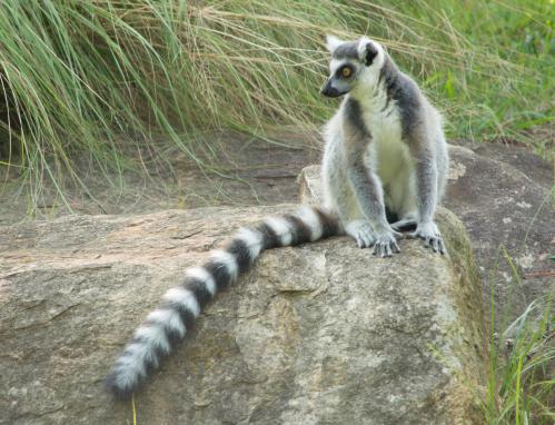 13 07 28_3108_edited-1