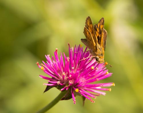 13 08 09_3576_edited-1-1