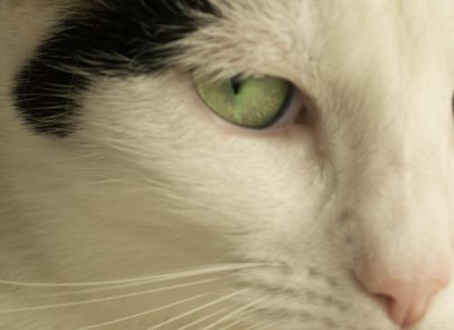 13 08 24_3952_edited-2