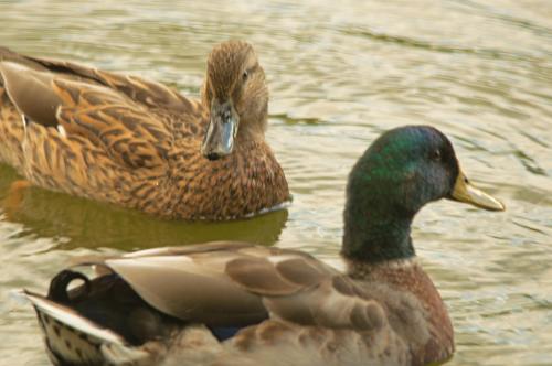 13 09 27_4669_edited-1