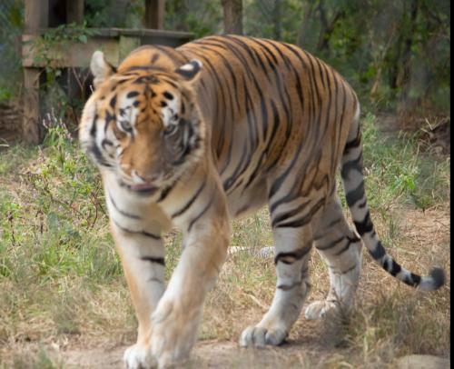 13 09 28_4725_edited-1