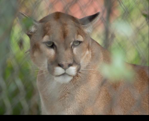 13 09 29_4684_edited-1