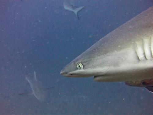 14 01 01_6122_edited-1