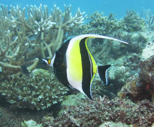 14 01 02_6270_edited-1