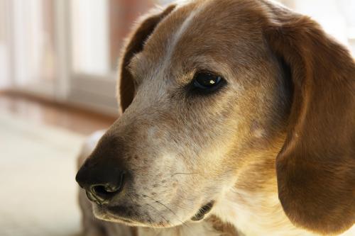 14 03 08_7545_edited-1