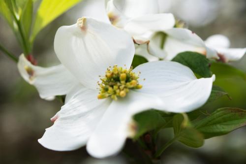 14 04 20_8502_edited-1