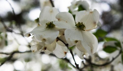 14 04 20_8527_edited-1