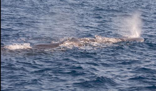 14 05 04_9285_edited-1