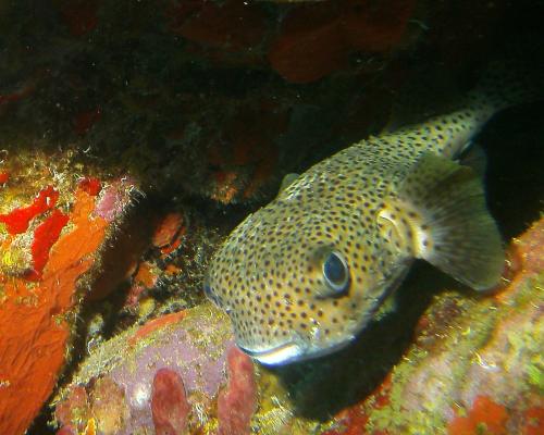 14 05 07_8870_edited-1