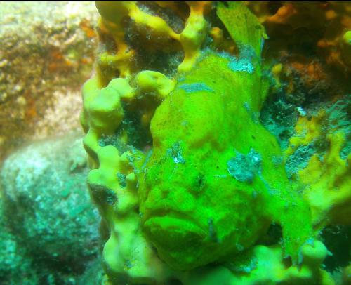 14 05 07_8905_edited-1