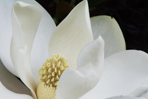 14 06 07_9784_edited-1