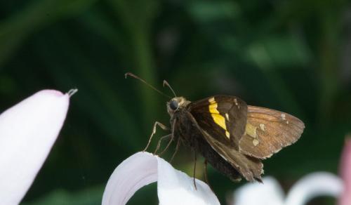 14 06 07_9808_edited-1