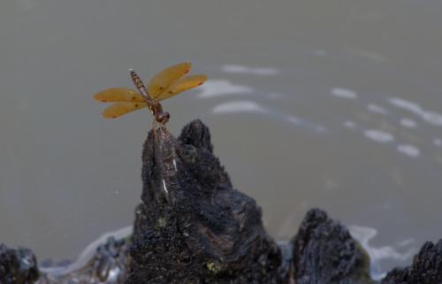 14 06 14_0008_edited-1