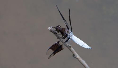 14 06 14_0015_edited-1