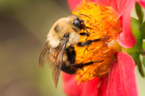 14 06 27_0176_edited-1