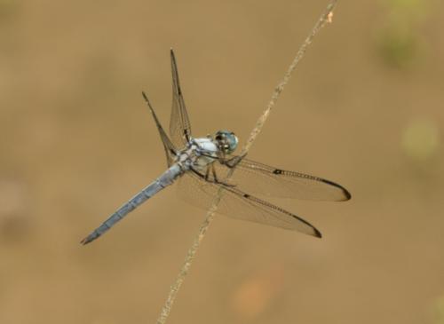 14 06 28_0215_edited-1