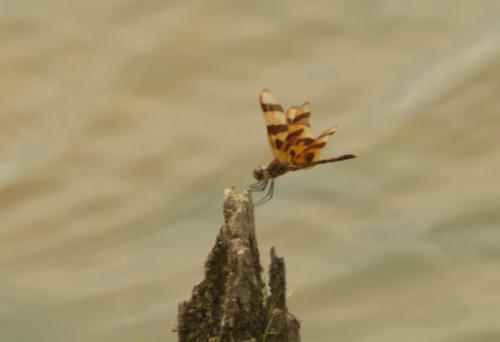 14 06 28_0239_edited-2