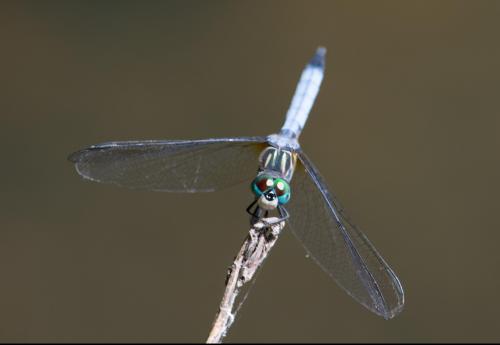 14 06 29_0327_edited-1