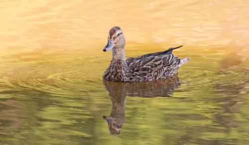 14 07 05_0538_edited-1