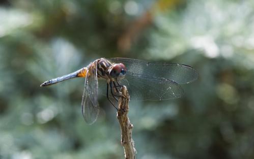 14 07 06_0462_edited-1