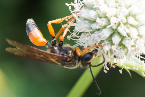 14 07 06_0483_edited-1