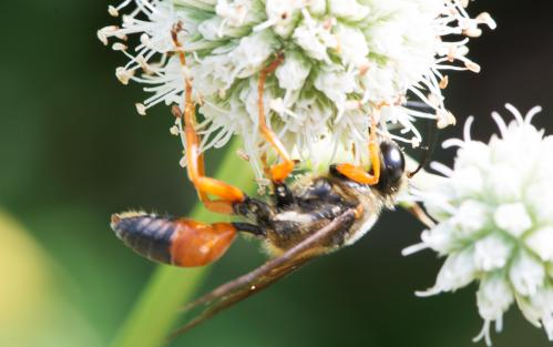 14 07 06_0485_edited-1