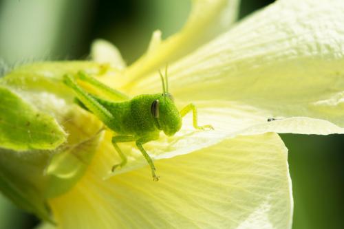 14 07 06_0514_edited-1