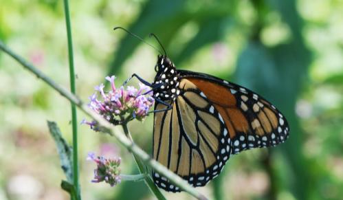 14 07 12_0544_edited-1