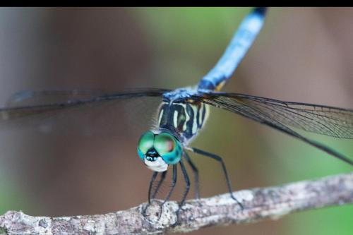 14 07 13_0685_edited-1