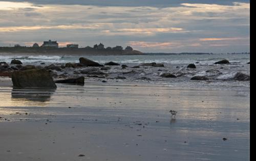 14 07 20_0754_edited-1