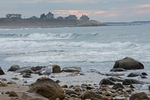 14 07 20_0765_edited-1