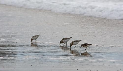 14 07 20_0796_edited-1