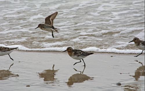 14 07 20_0809_edited-1