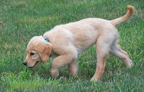 14 07 20_0832_edited-1