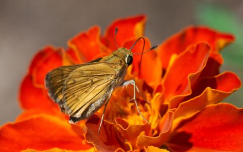 14 07 26_1208_edited-1