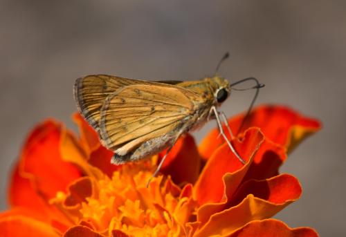 14 07 26_1209_edited-1