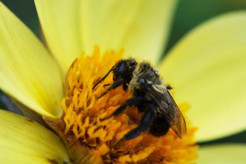 14 08 03_1250_edited-1