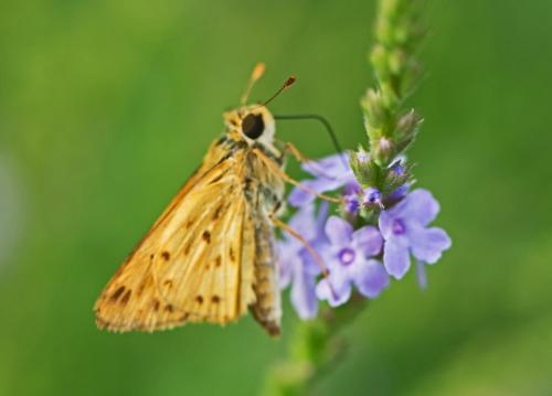 14 08 15_1497_edited-1