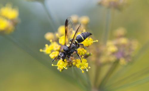 14 08 15_1513_edited-1