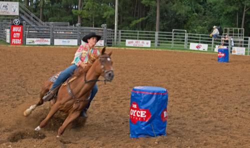 14 08 19_1548_edited-1